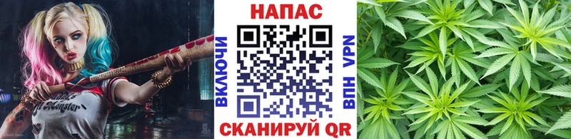 купить наркотик  Беломорск  Бошки марихуана VHQ 